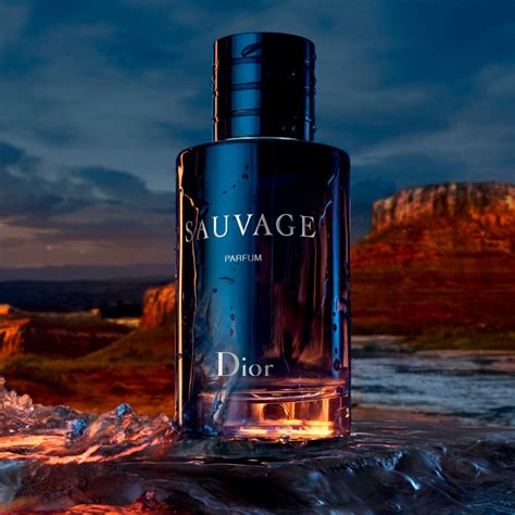 dior sauvage vergelijkbare geuren|dior sauvage fragrance.